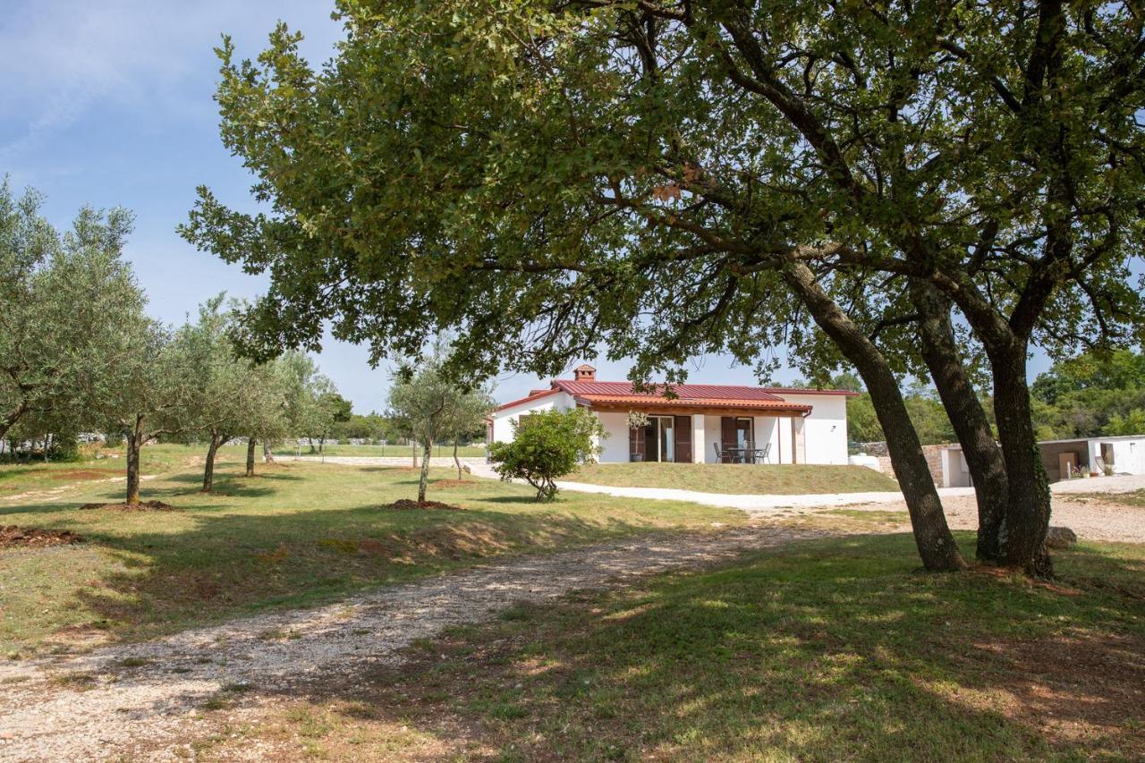 Willa Casa Grazia Rovinj Zewnętrze zdjęcie